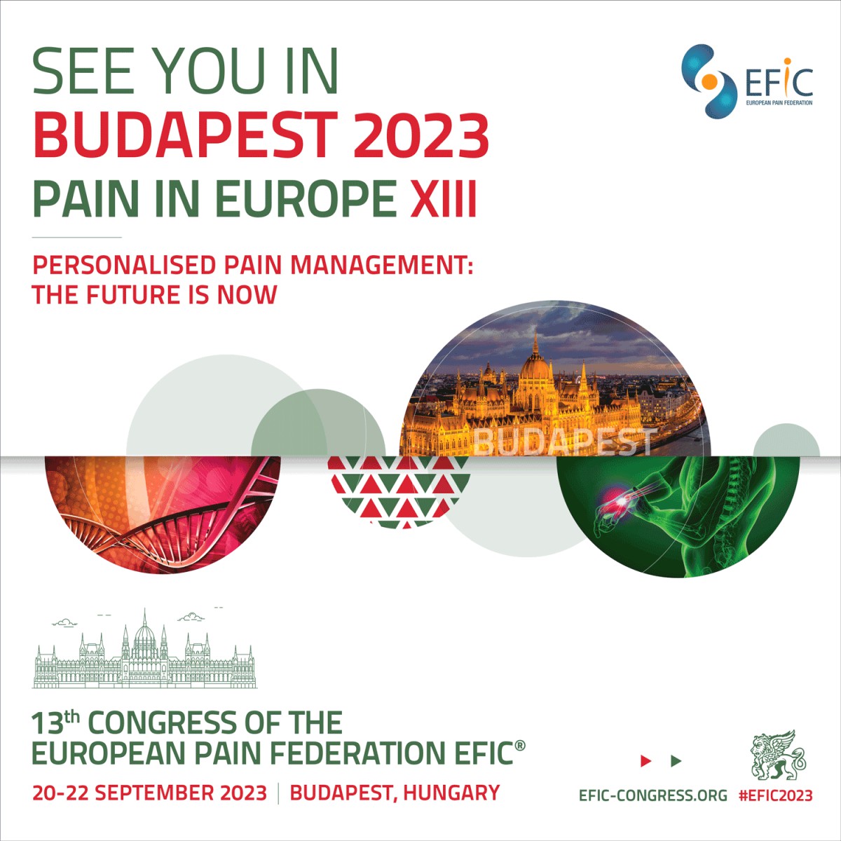 13th EFIC Congress entitled, 'Personalised Pain Management The Future